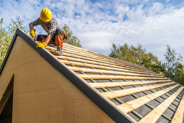 Best Roof Maintenance Services  in Cutlerville, MI